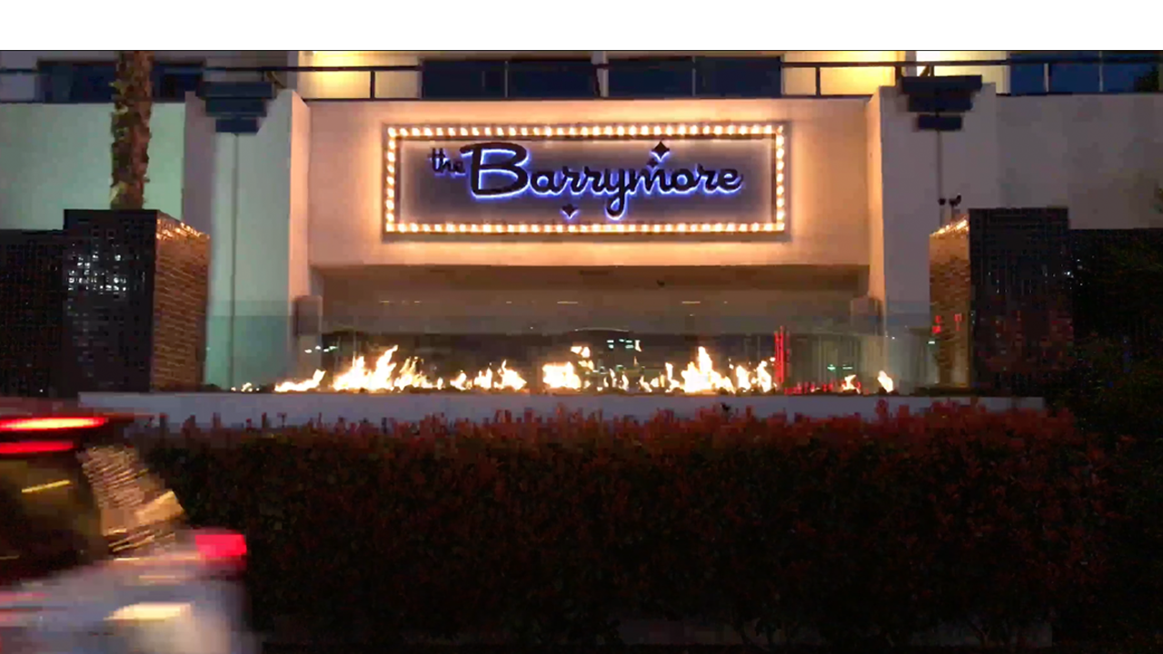 Gather - Barrymore video case study