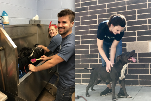 gather gives day 2019